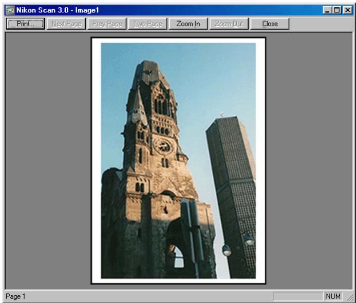 NIKON SCAN 3 - Step 2—Preview how the image will print - 1