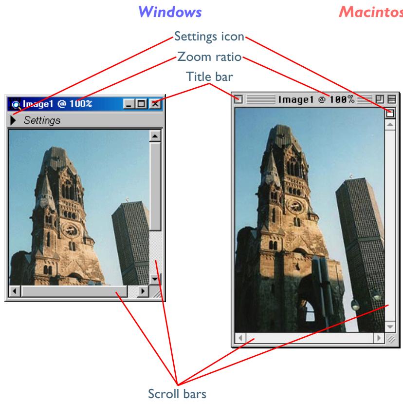 NIKON SCAN 3 - Image Windows - 1
