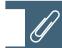 NIKON SCAN 3 - Curves* - 4