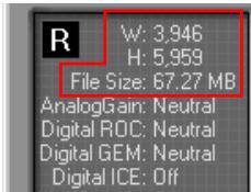 NIKON SCAN 3 - Dimensions/File Size - 1