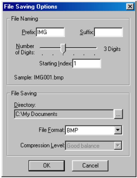 NIKON SCAN 3 - The File Save Dialog (Batch Scans) - 1