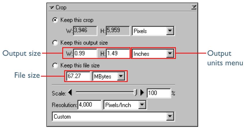 NIKON SCAN 3 - Step I I—Adjust the output size - 1