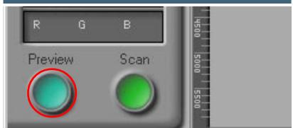 NIKON SCAN 3 - The Preview Button - 1