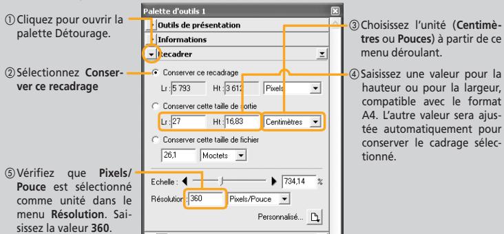 NIKON SUPER COOLSCAN LS5000 ED - Conseil : spécification de la résolution et de la taille de sortie - 1