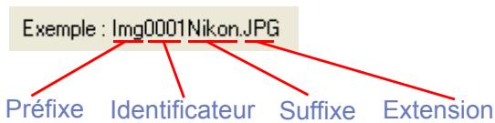 NIKON VIEW 6 - Dénomination des fichiers: - 15