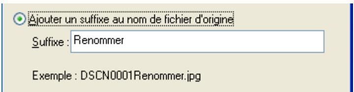 NIKON VIEW 6 - Ajouter un suffixe au nom de fichier d'origine: - 1