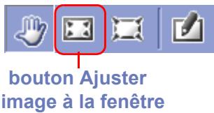 NIKON VIEW 6 - Ajuster l'image à la fenêtre (windows uniquement) - 1