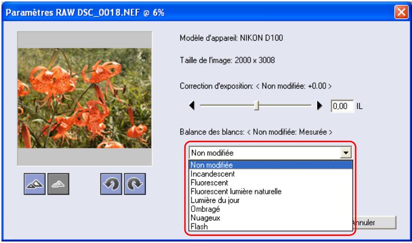 NIKON VIEW 6 - Balance des blancs - 1