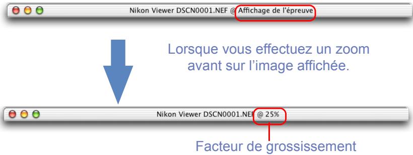 NIKON VIEW 6 - Privilégier la vitesse - 1