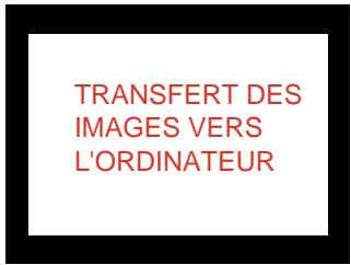 NIKON VIEW 6 - Étape 2 : lorsque le transfert est en cours - 2