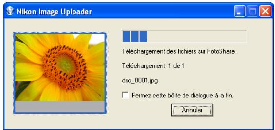 NIKON VIEW 6 - Sélectionner le serveur proxy sous macintosh - 6