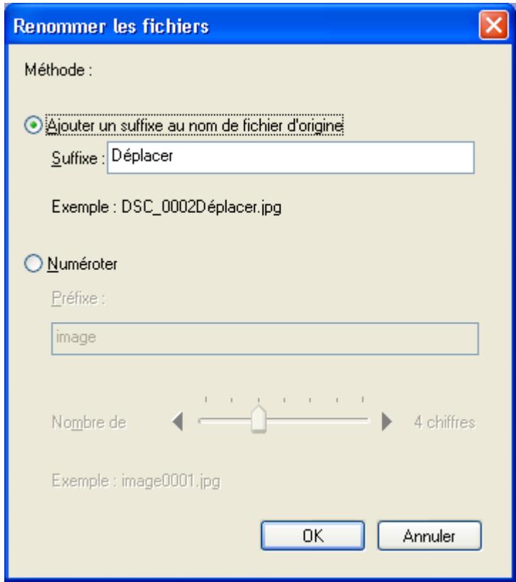 NIKON VIEW 6 - Renommer les fichiers : - 1