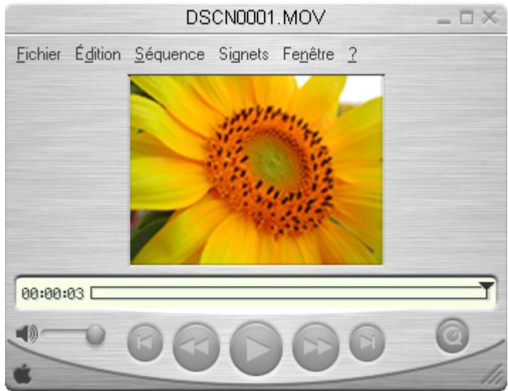 NIKON VIEW 6 - Lecture de clips vidéo - 1