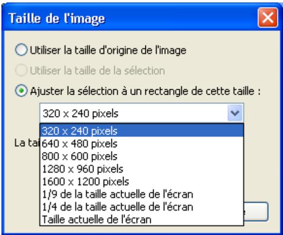 NIKON VIEW 6 - Ajuster la sélection à un rectangle de cette taille: - 1