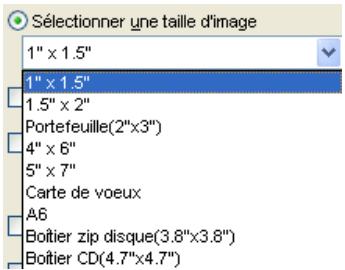 NIKON VIEW 6 - Choisir la taille d'image - 1