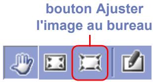 NIKON VIEW 6 - Ajuster l'imageau bureau - 1