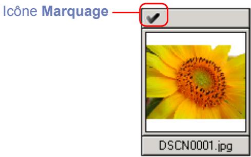 NIKON VIEW 6 - Marquage des vignettes (windows uniquement) - 1