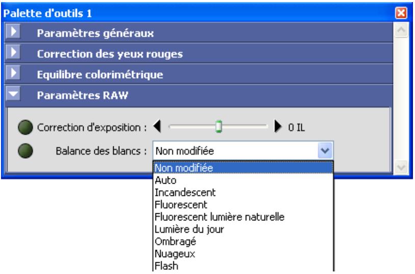 NIKON VIEW 6 - Balance des blancs - 1