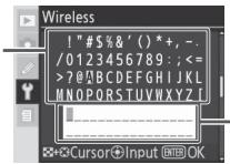 NIKON WT-3 - Text Entry - 1