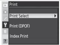 NIKON WT-3 - Printing Pictures - 3