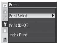 NIKON WT-3 - Print (Print Mode Only) - 1