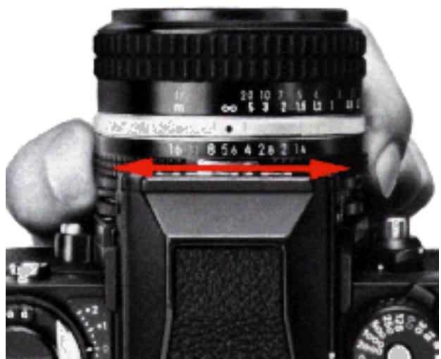 NIKON F3 - Focus on the subject. - 2