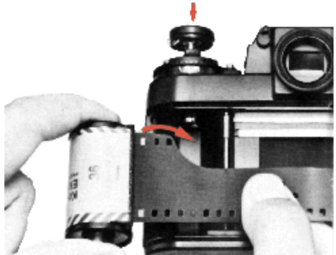 NIKON F3 - Open the camera back. - 1