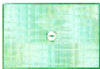 NIKON F3 - Focusing Screen Selector Guide - 3