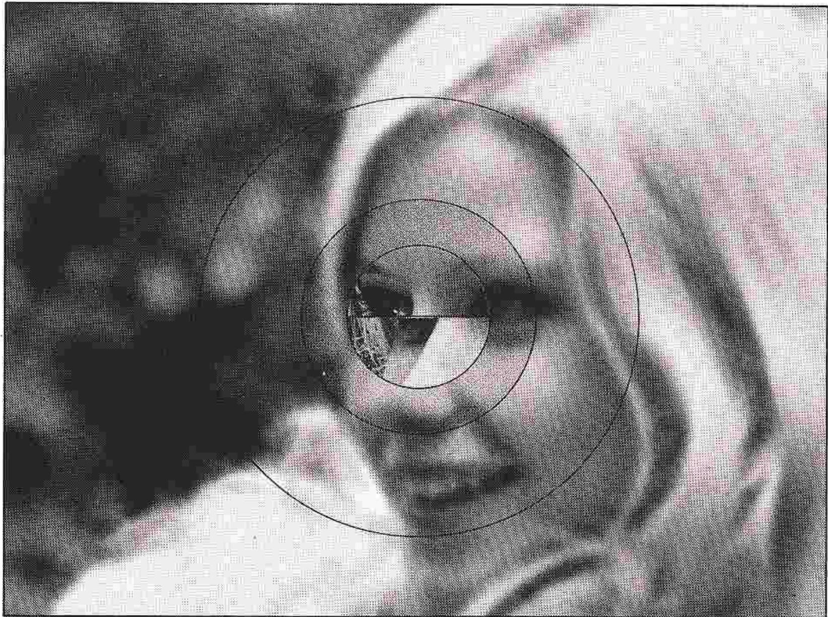 NIKON FE - FOCUSing - 2