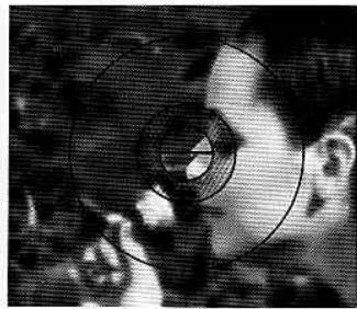 NIKON FG - ASIC OPERATION—continued - 2