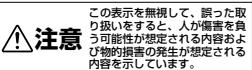 NIKON FISHEYE FC-E9 - 3