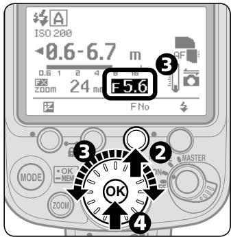 NIKON SB-900 - Taking a picture in Non-TTL auto flash mode - 2