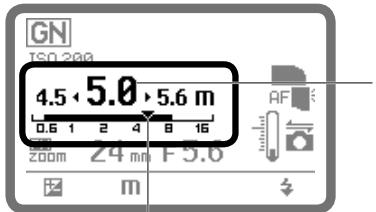 NIKON SB-900 - Display for Distance-priority manual flash (at 5 m shooting distance) - 1