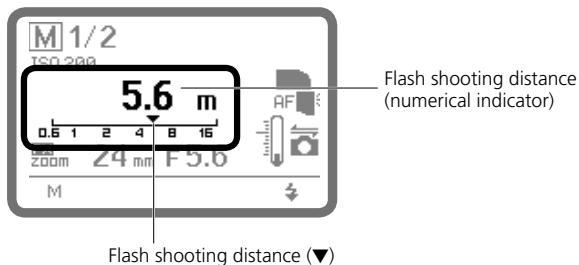 NIKON SB-900 - Display for Manual mode - 1