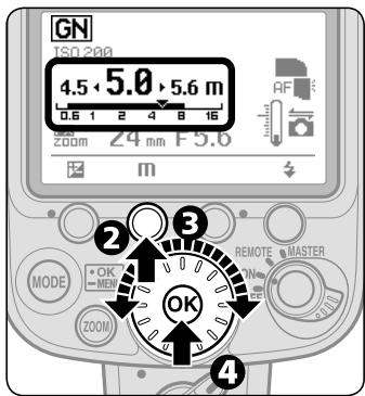 NIKON SB-900 - Shooting in Distance priority manual flash mode - 2
