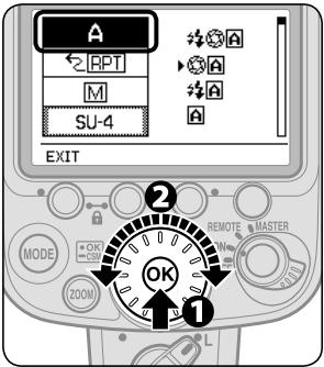 NIKON SB-900 - Custom setting - 1