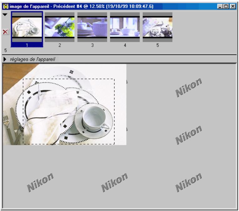 NIKON CAPTURE - Étape 5—recadrage des images - 1