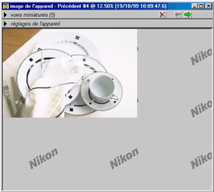 NIKON CAPTURE - L'indicateur d'état de l'appareil photo - 2