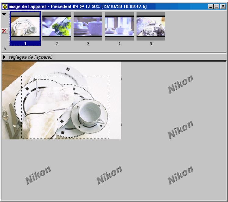 NIKON CAPTURE - Recadrage - 1