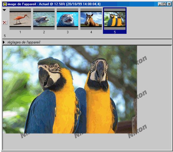 NIKON CAPTURE - Lecture des images de la carte mémoire - 1