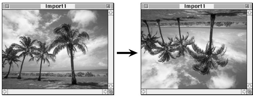NIKON CONTROL MACINTOSH - Flipping the Image Vertically - 2