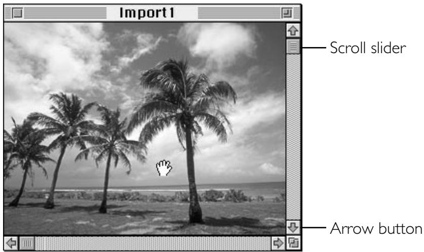 NIKON CONTROL MACINTOSH - Scrolling the Image - 3