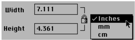 NIKON CONTROL MACINTOSH - Image Size Dialog Box - 3