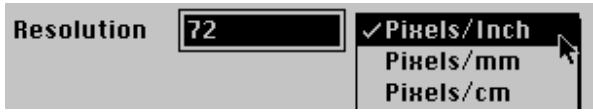 NIKON CONTROL MACINTOSH - Image Size Dialog Box - 4