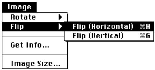 NIKON CONTROL MACINTOSH - Flipping the Image Horizontally - 3