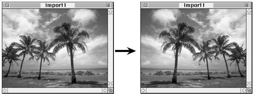 NIKON CONTROL MACINTOSH - Flipping the Image Horizontally - 2