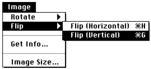 NIKON CONTROL MACINTOSH - Flipping the Image Vertically - 3