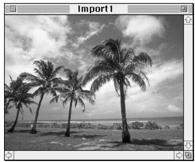 NIKON CONTROL MACINTOSH - Rotating the Image - 2