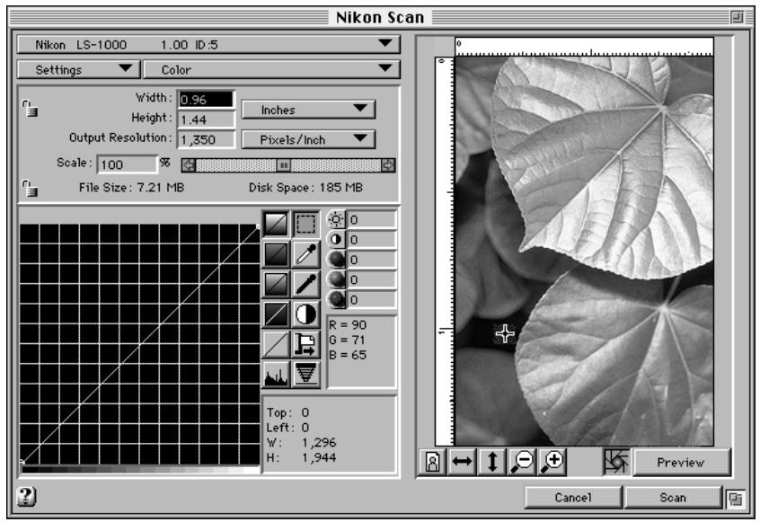 NIKON CONTROL MACINTOSH - Image Acquisition - 3