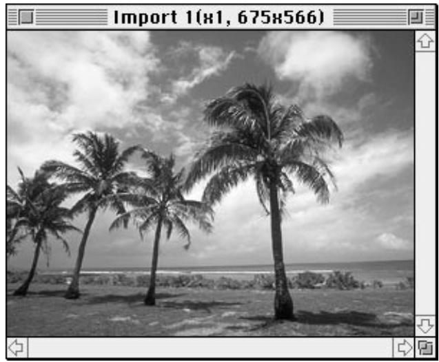 NIKON CONTROL MACINTOSH - Image Acquisition - 4